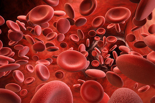 Illustration Anticoagulants oraux, favoriser leur bon usage